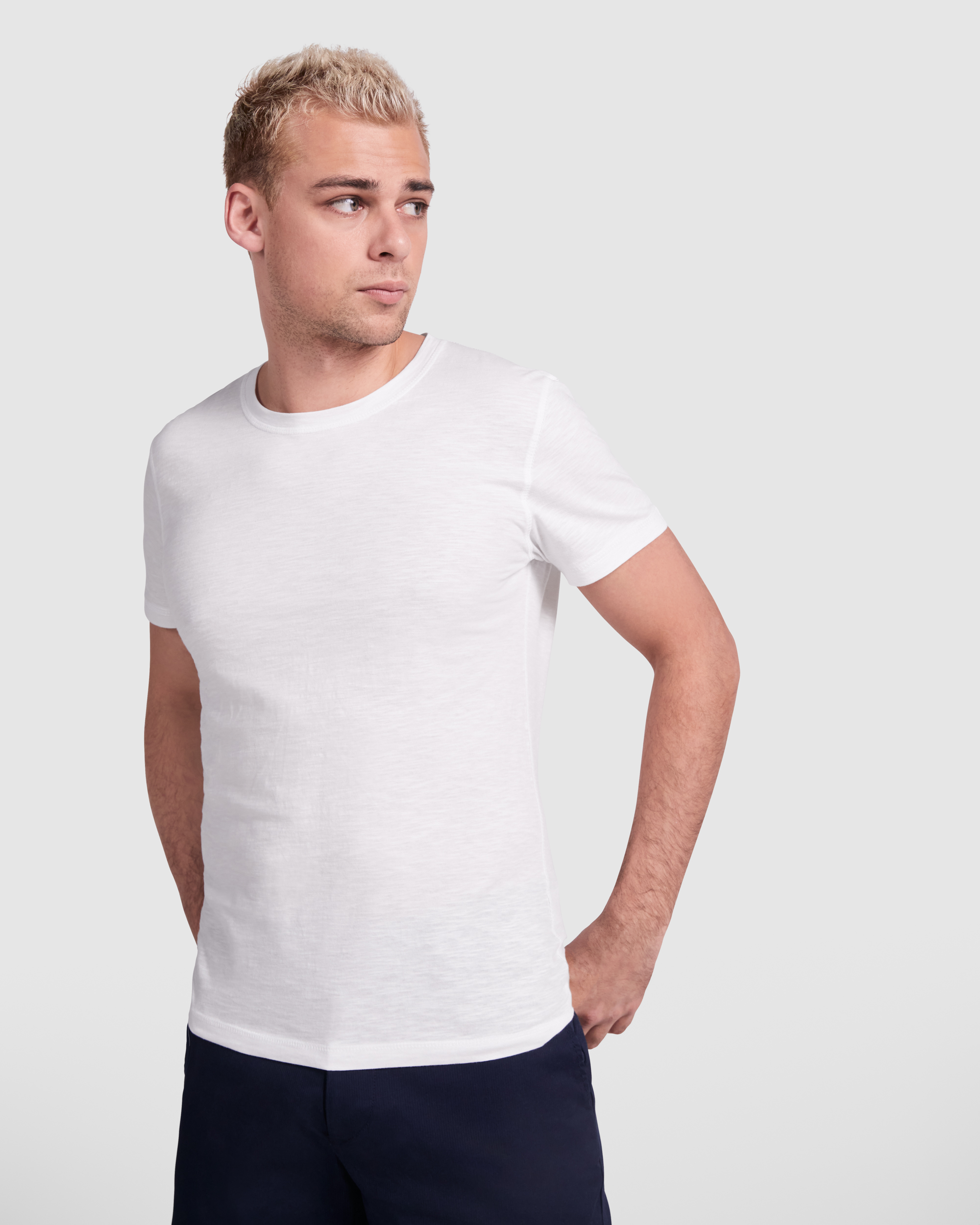 TERRIER - immagine 2