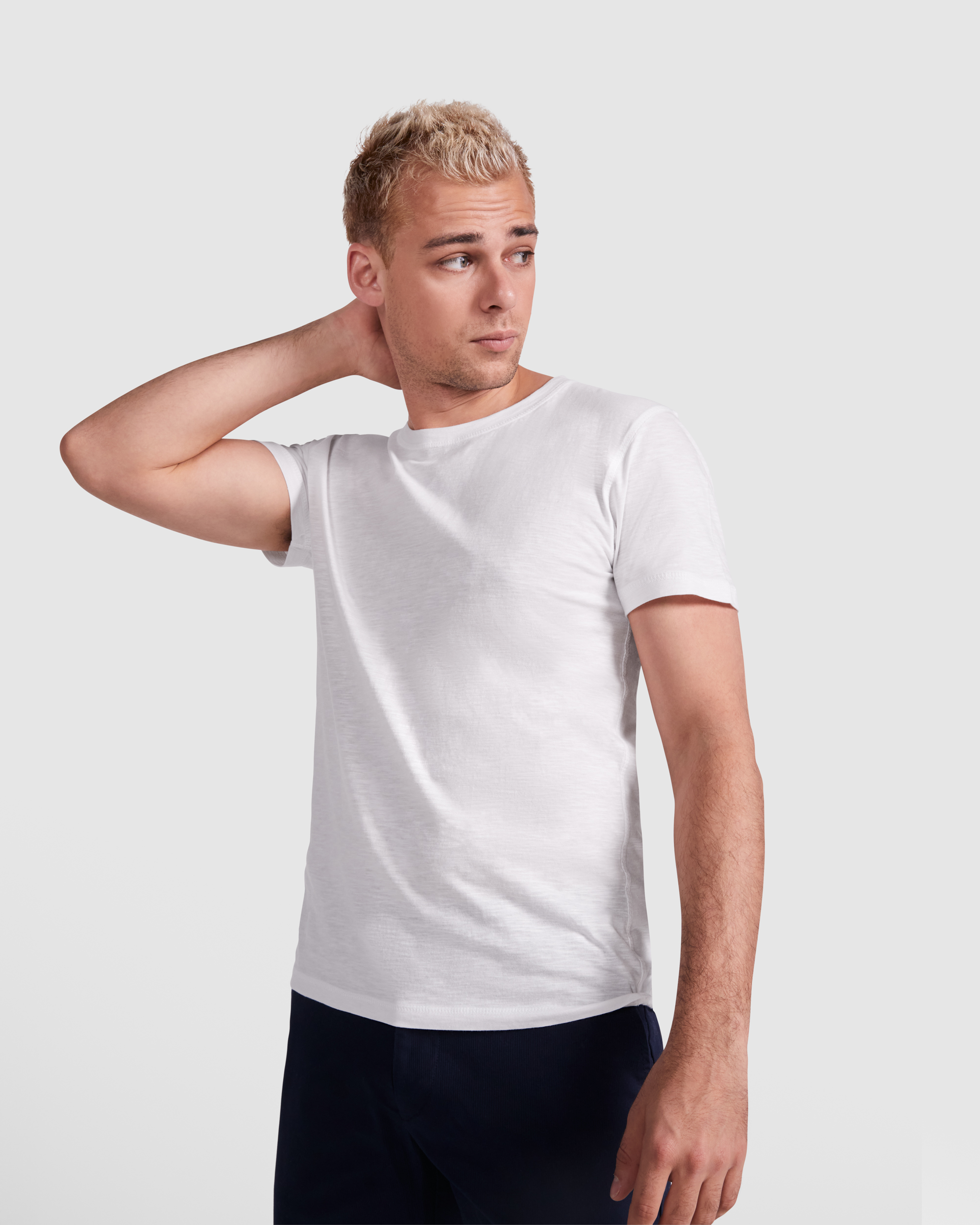 TERRIER - immagine 3