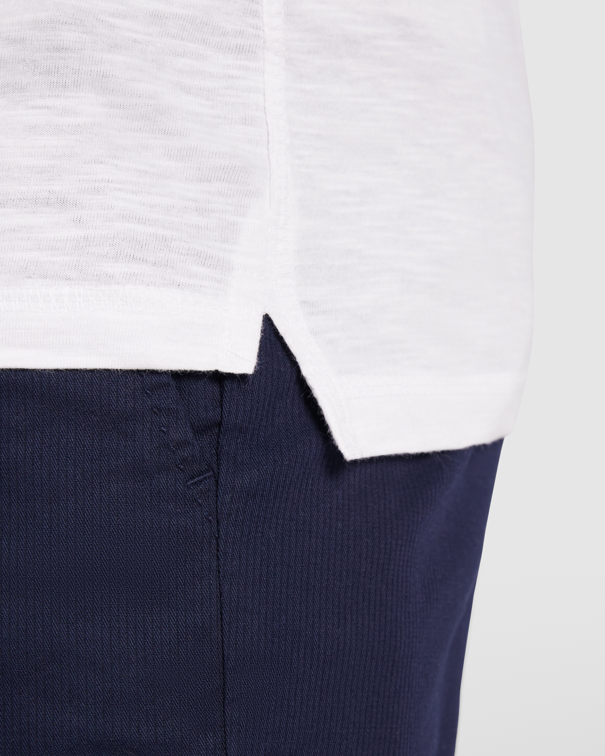 TERRIER - immagine 4