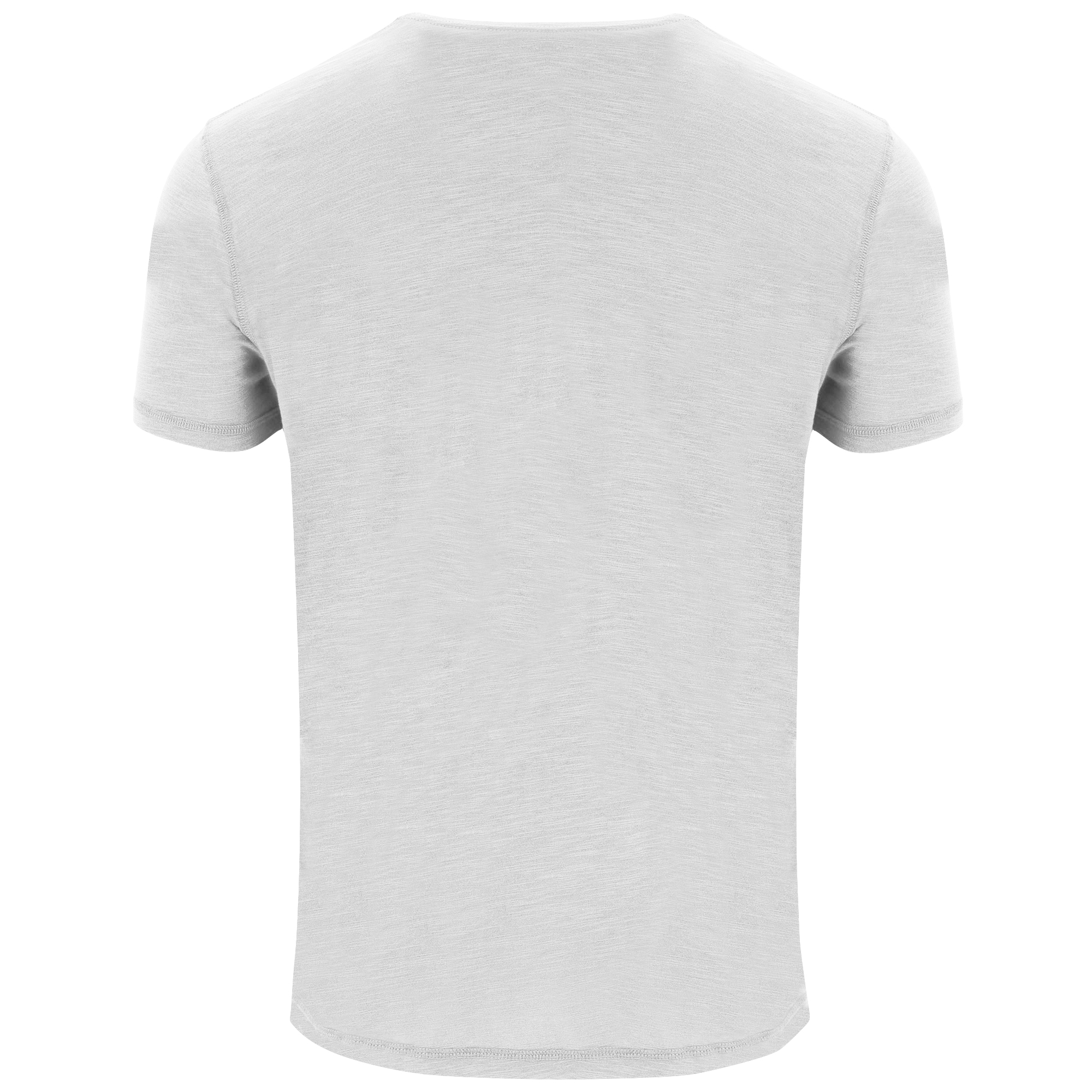 TERRIER - immagine 6