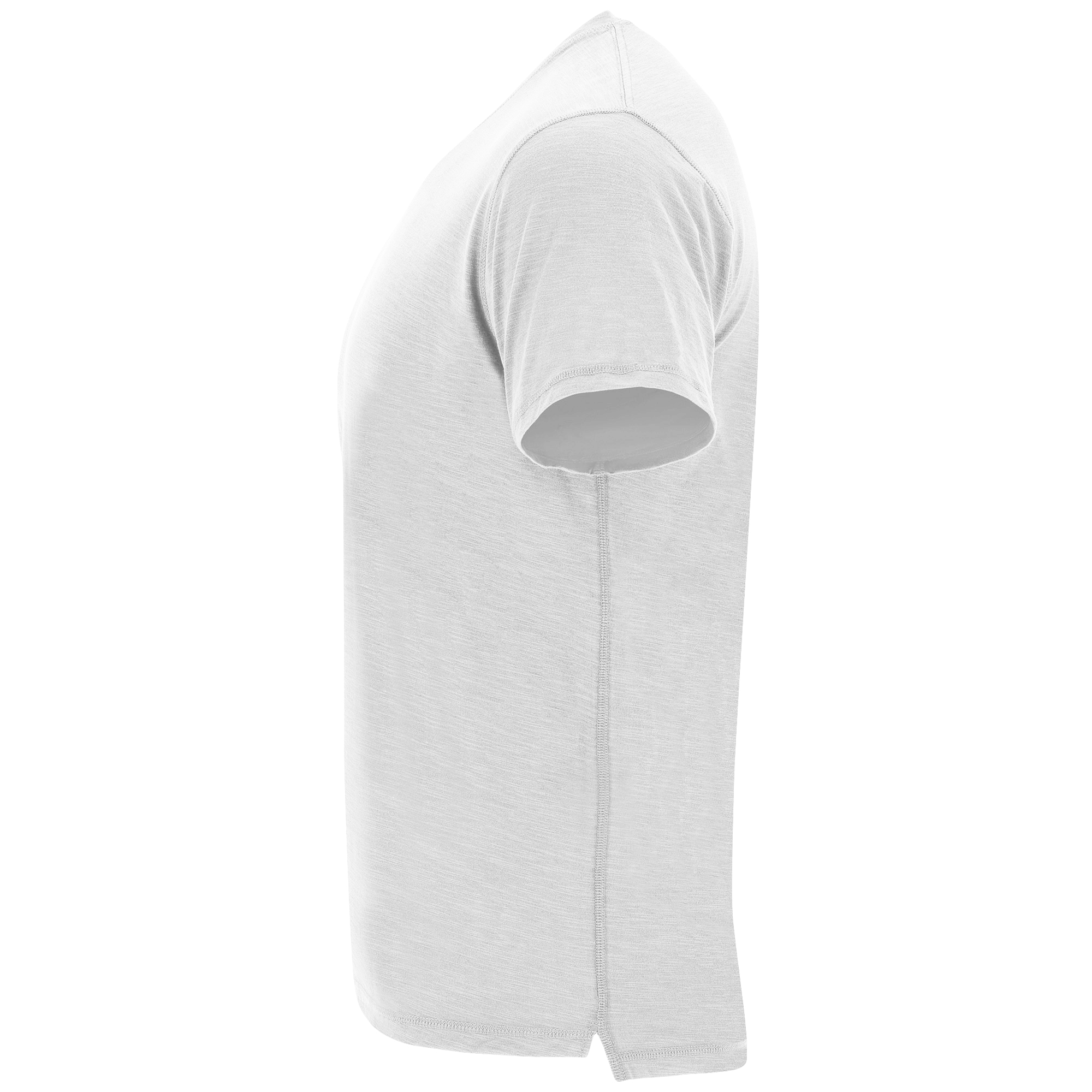 TERRIER - immagine 7