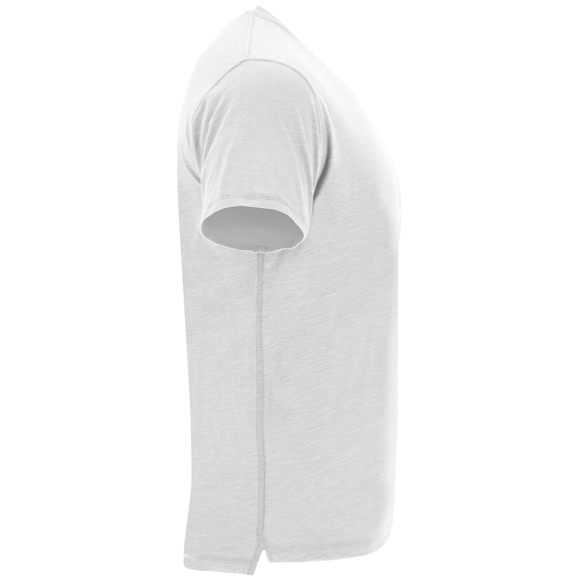 TERRIER - immagine 8