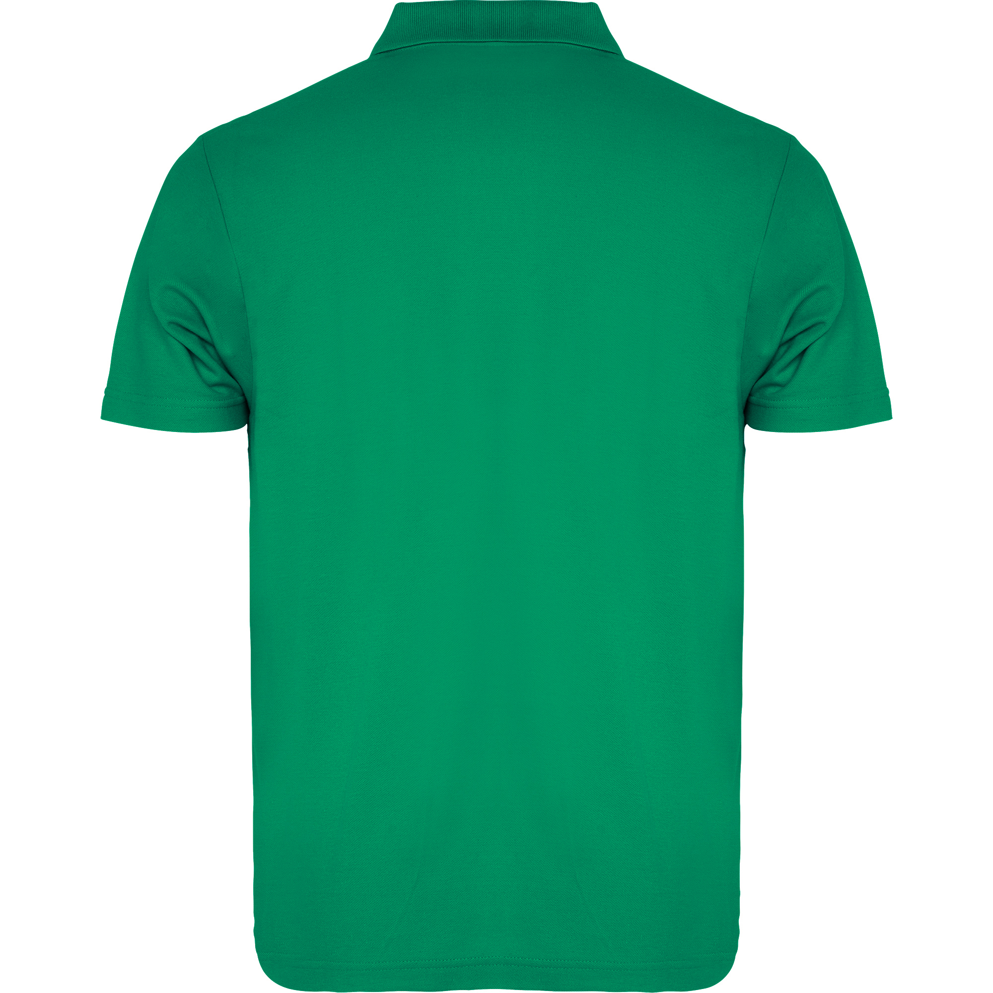 AUSTRAL - immagine 6